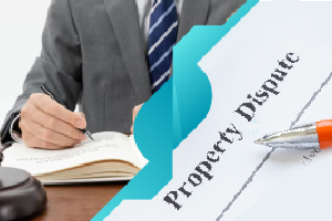 Property Dispute Advice